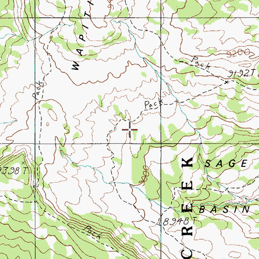 Topographic Map of Sage Basin, MT