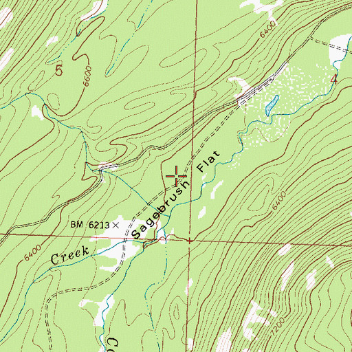 Topographic Map of Sagebrush Flat, MT