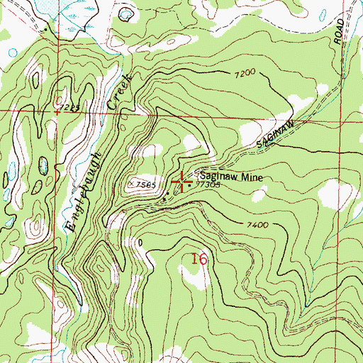 Topographic Map of Saginaw Mine, MT