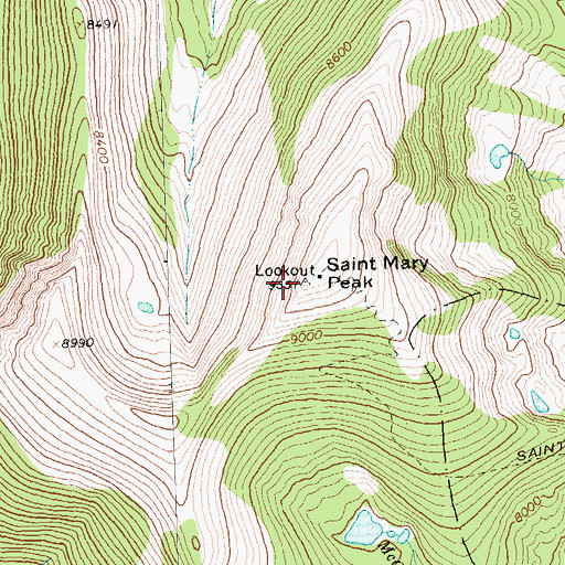 Topographic Map of Saint Mary Peak, MT