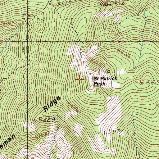 Topographic Map of Saint Patrick Peak, MT