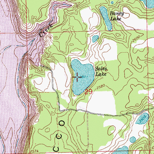 Topographic Map of Sales Lake, MT