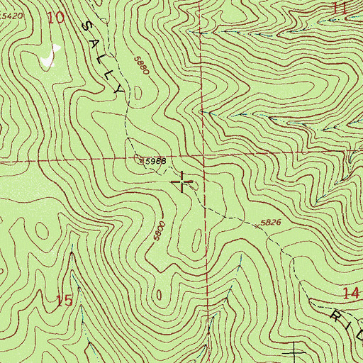 Topographic Map of Sally Ridge, MT