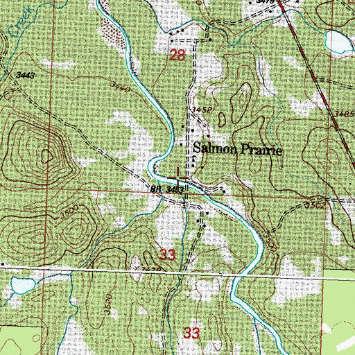 Topographic Map of Salmon Prairie, MT