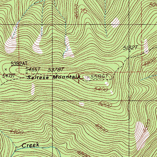 Topographic Map of Saltese Mountain, MT