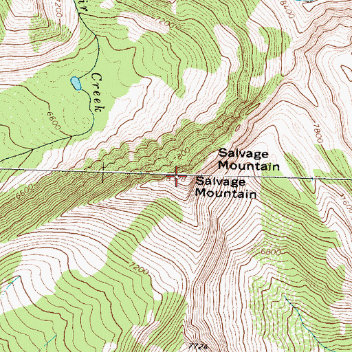 Topographic Map of Salvage Mountain, MT