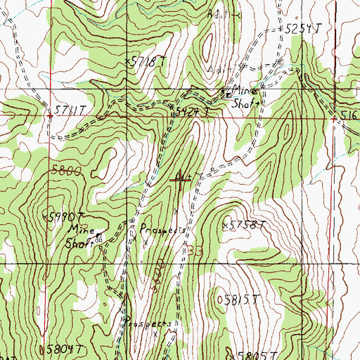 Topographic Map of San Anita Mine, MT