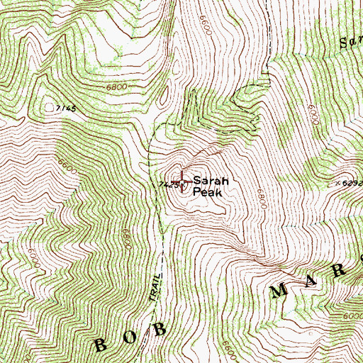 Topographic Map of Sarah Peak, MT
