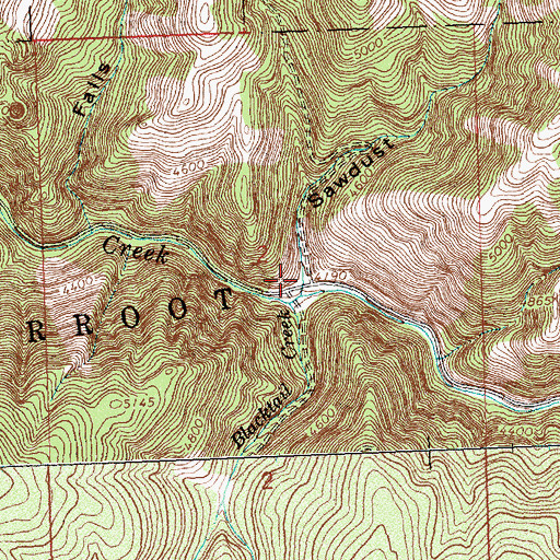 Topographic Map of Sawdust Gulch, MT