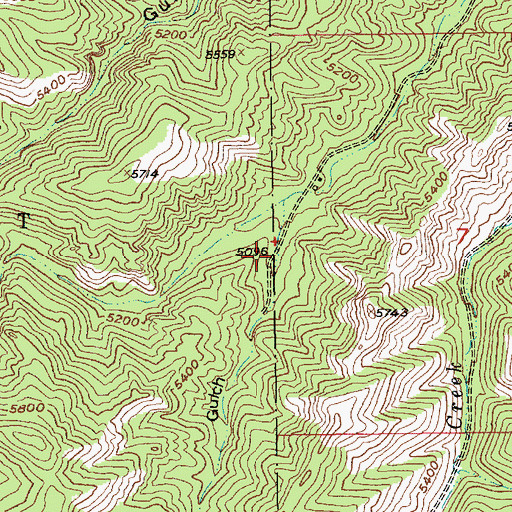 Topographic Map of Sawmill Gulch, MT