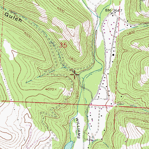 Topographic Map of Sawmill Gulch, MT