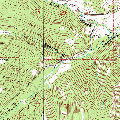 Topographic Map of Sawmill Gulch, MT