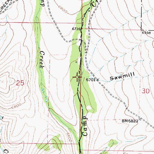 Topographic Map of Sawmill Gulch, MT
