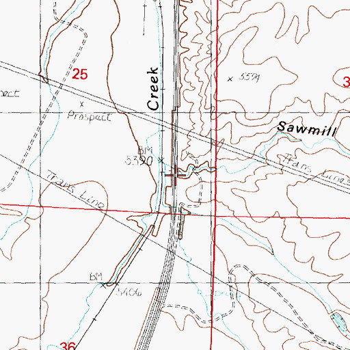 Topographic Map of Sawmill Gulch, MT