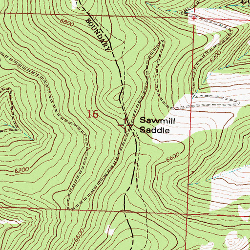 Topographic Map of Sawmill Saddle, MT