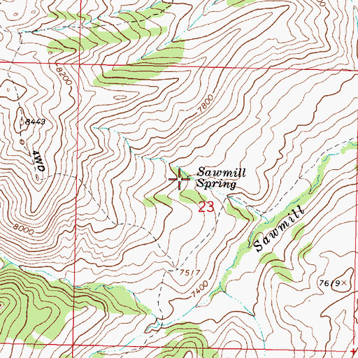 Topographic Map of Sawmill Spring, MT