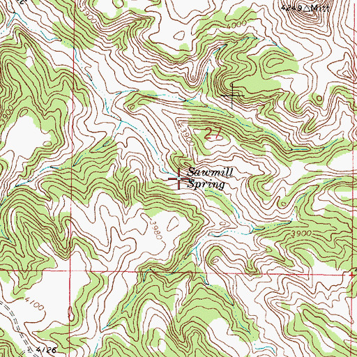 Topographic Map of Sawmill Spring, MT