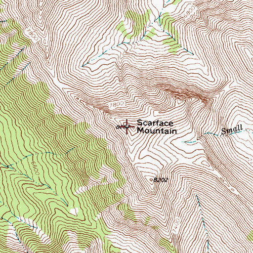 Topographic Map of Scarface Mountain, MT