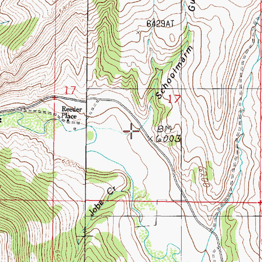 Topographic Map of Schoolmarm Gulch, MT