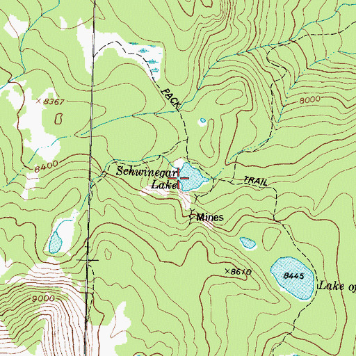 Topographic Map of Schwinegar Lake, MT