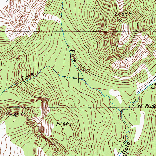 Topographic Map of Second Fork West Fork Buffalo Fork, MT