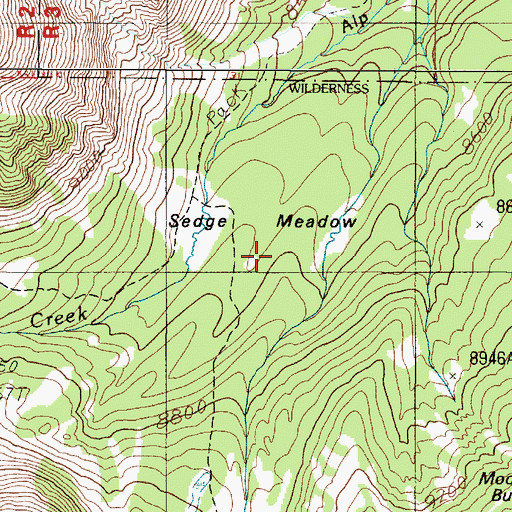 Topographic Map of Sedge Meadow, MT