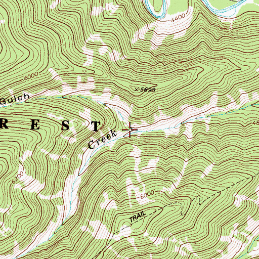Topographic Map of Selmo Gulch, MT