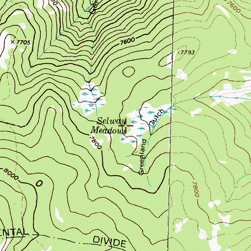 Topographic Map of Selway Meadows, MT