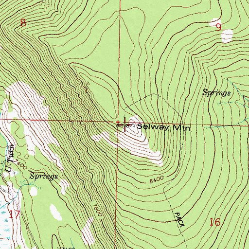 Topographic Map of Selway Mountain, MT