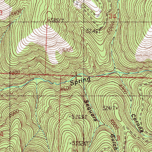 Topographic Map of Sequoia Gulch, MT