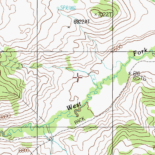 Topographic Map of Shakelford Cow Camp, MT