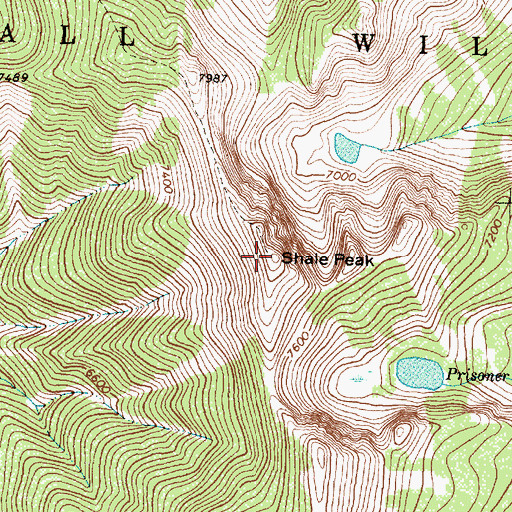 Topographic Map of Shale Peak, MT