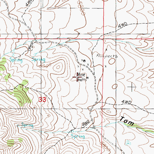 Topographic Map of Shamrock Mine, MT