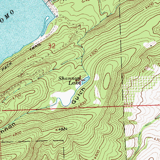 Topographic Map of Shannon Lake, MT