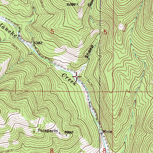 Topographic Map of Sheep Gulch, MT