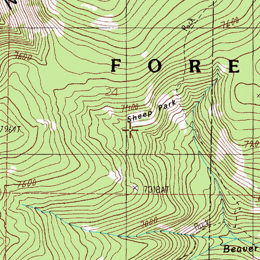 Topographic Map of Sheep Park, MT