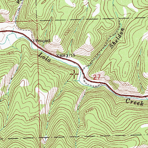 Topographic Map of Sheldon Creek, MT