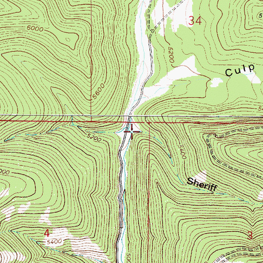Topographic Map of Sheriff Gulch, MT