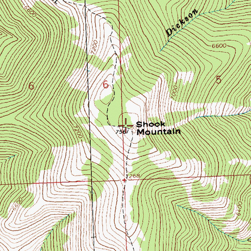 Topographic Map of Shook Mountain, MT