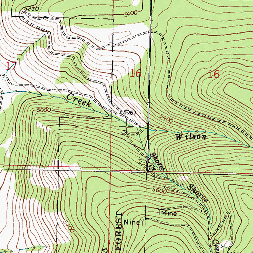 Topographic Map of Shores Creek, MT