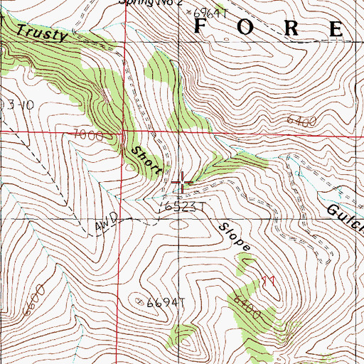 Topographic Map of Short Slope, MT