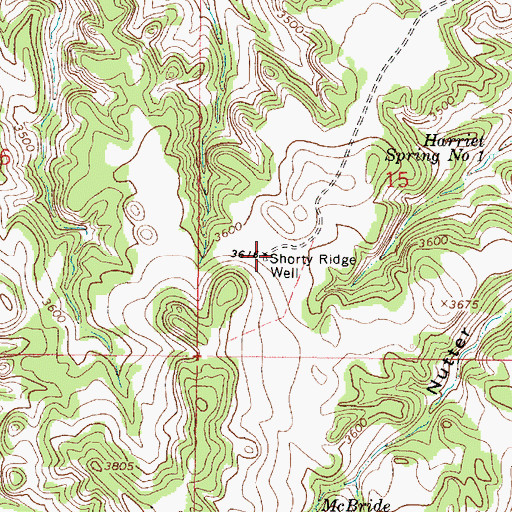 Topographic Map of Shorty Ridge Well, MT