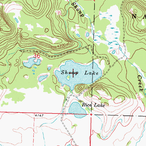 Topographic Map of Shoup Lake, MT