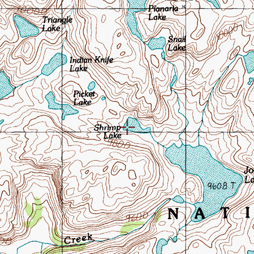 Topographic Map of Shrimp Lake, MT