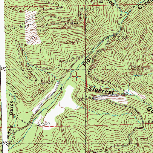 Topographic Map of Siekrest Gulch, MT