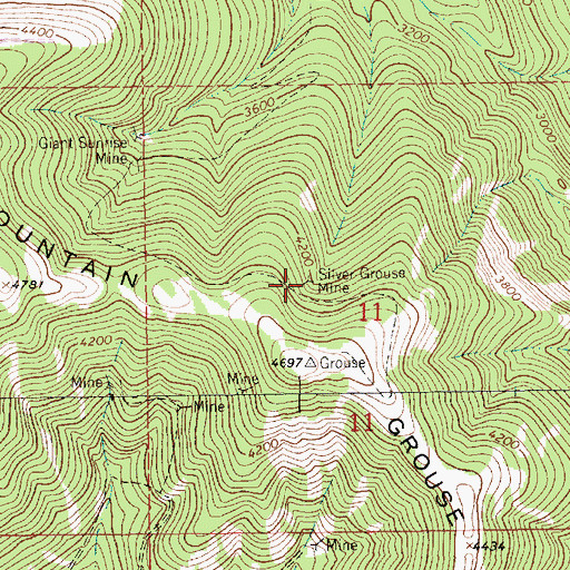 Topographic Map of Silver Grouse Mine, MT