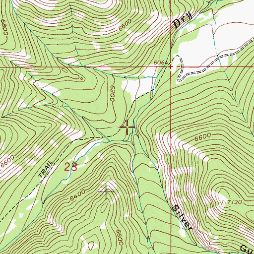 Topographic Map of Silver Gulch, MT