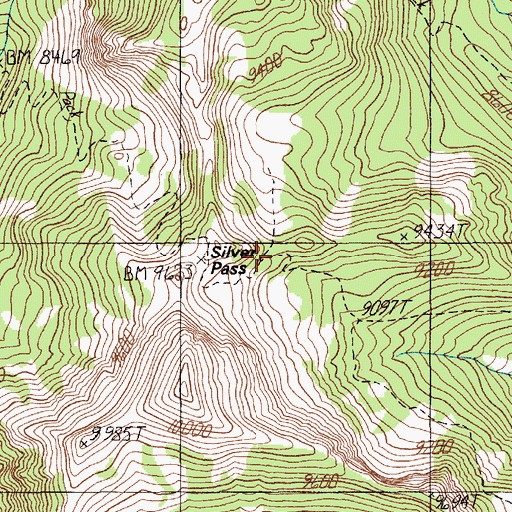 Topographic Map of Silver Pass, MT