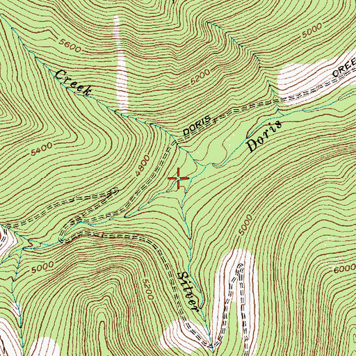 Topographic Map of Silver Run Creek, MT