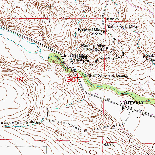 Topographic Map of Site of Saligman Smelter, MT